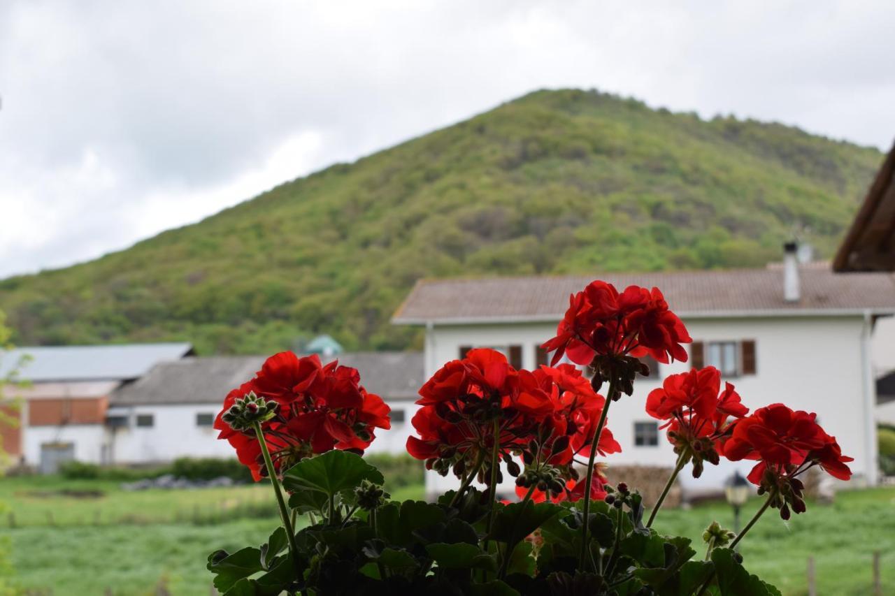 Casa Rural Galain Lizaso Екстер'єр фото